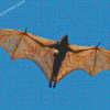 Giant Golden Crowned Flying Fox Diamond Paintings