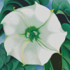 Green And White Flowers Diamond Paintings