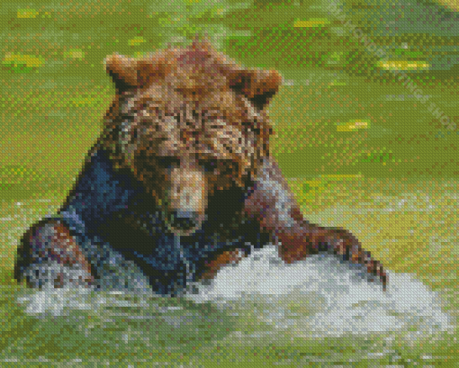 Grizzly Bear In Water Diamond Paintings