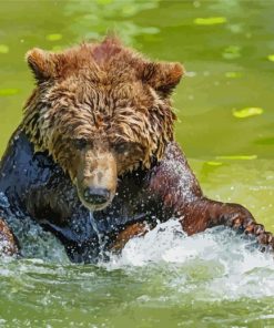 Grizzly Bear In Water Diamond Painting