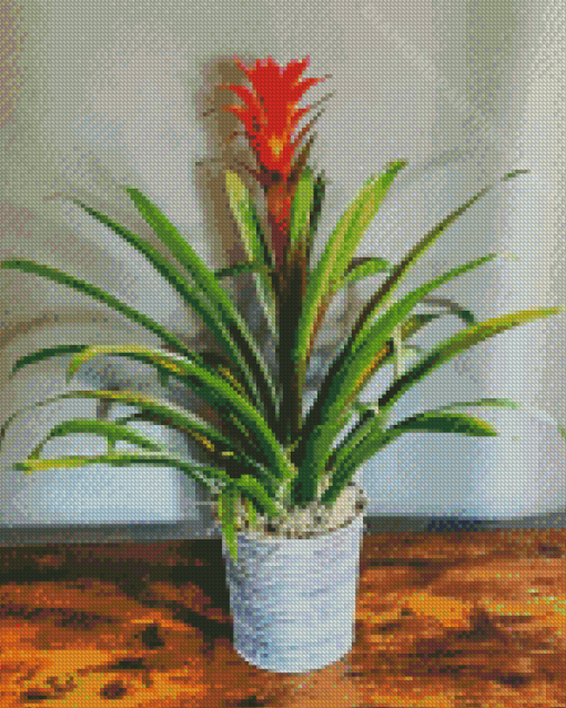 Bromeliad Guzmania Plant Pot Diamond Paintings