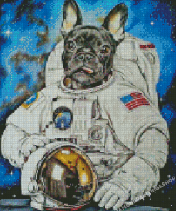 Nasa Astronaut Dog Diamond Paintings