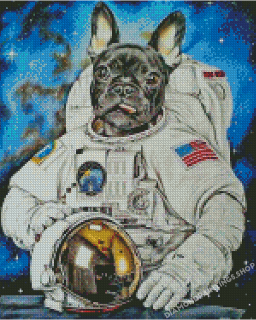 Nasa Astronaut Dog Diamond Paintings