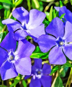 Periwinkle Flowers Diamond Painting