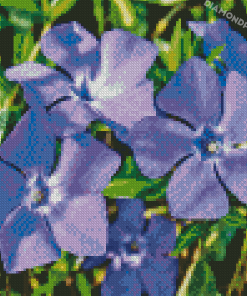 Periwinkle Flowers Diamond Paintings