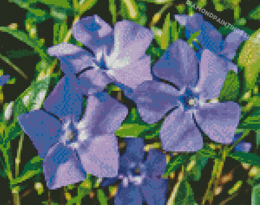 Periwinkle Flowers Diamond Paintings