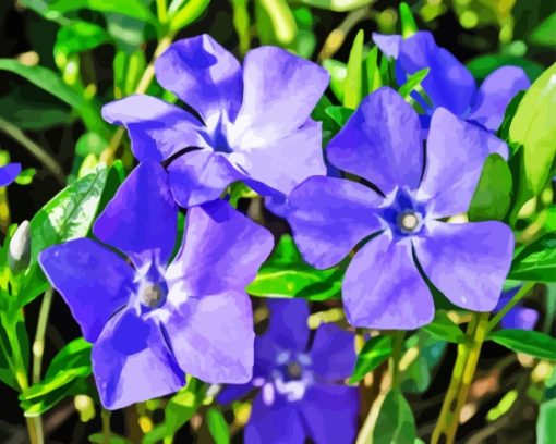 Periwinkle Flowers Diamond Painting