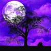 Purple Moon And Tree Silhouette Diamond Painting