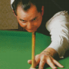Ray Reardon Snooker Player Diamond Paintings