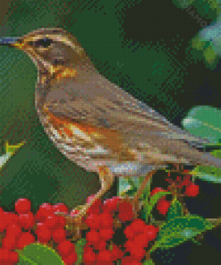 Redwing Bird Diamond Paintings