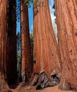 Sequoia National Park Trees Diamond Painting