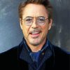 The Actor Robert Downey Jr Diamond Painting