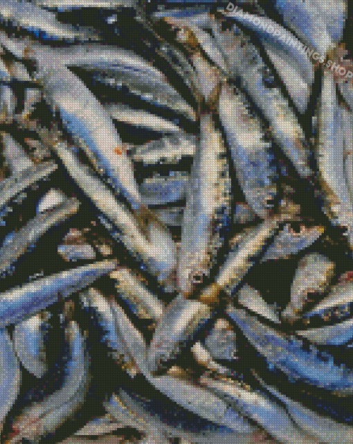 The Sardines Fish Diamond Paintings