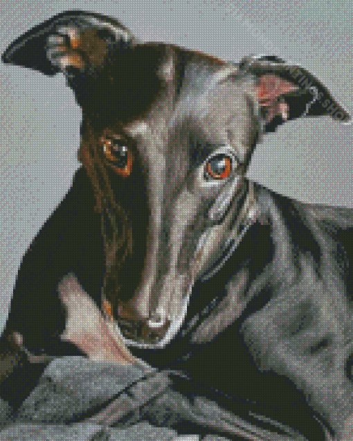 The Black Greyhound Dog Diamond Paintings