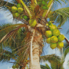 The Coconut Tree Diamond Paintings