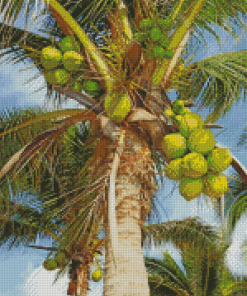 The Coconut Tree Diamond Paintings