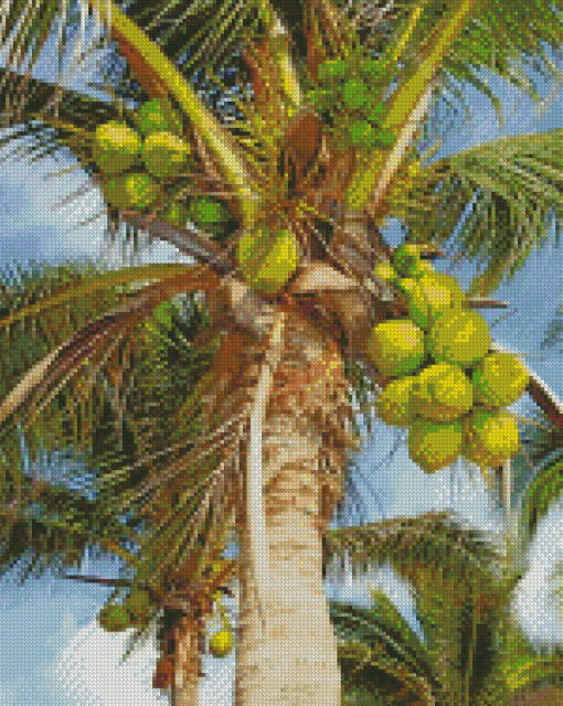 The Coconut Tree Diamond Paintings