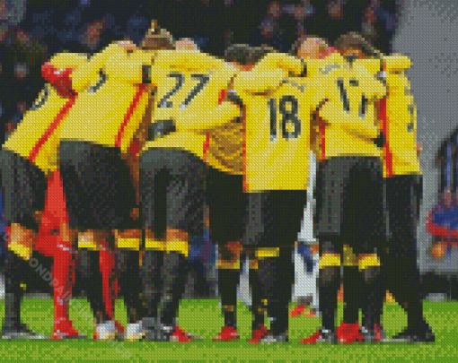 Watford FC Team Diamond Paintings