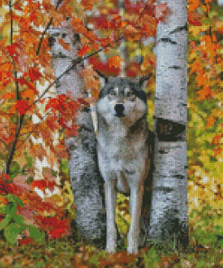 Wild Wolf Among Birches Diamond Paintings