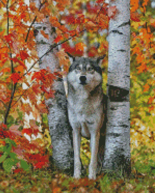 Wild Wolf Among Birches Diamond Paintings