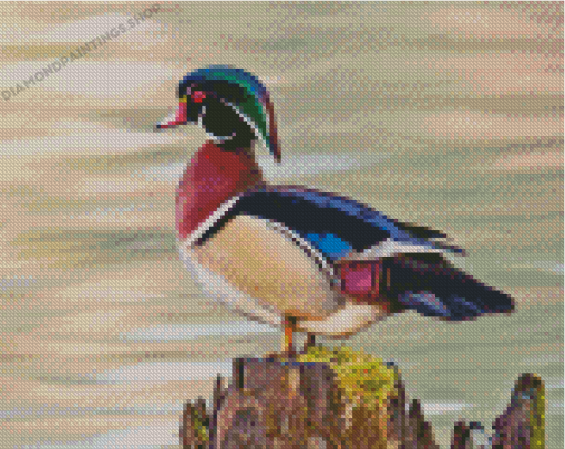 Wood Duck Diamond Paintings