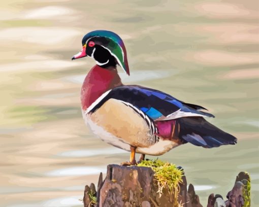 Wood Duck Diamond Painting