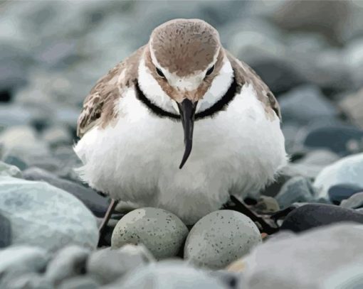 Wrybill Diamond Painting