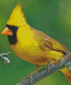 Yellow Cardinal On Branch Diamond Paintings