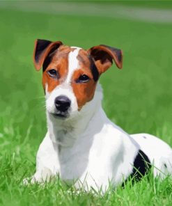Aesthetic Jack Terrier Diamond Painting