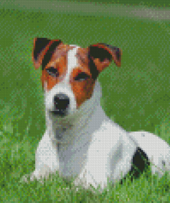 Aesthetic Jack Terrier Diamond Paintings