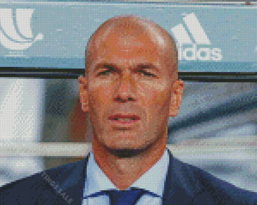Aesthetic Zinedine Zidane Diamond Paintings