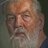 Bearded Old Man Face Diamond Paintings
