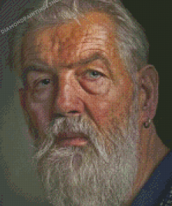 Bearded Old Man Face Diamond Paintings