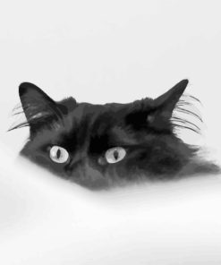 Black Sneaky Cat Diamond Painting