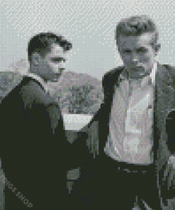Black And White Rebel Without A Cause Diamond Paintings