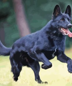 Cool Black Shepherd Diamond Painting