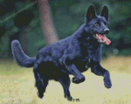 Cool Black Shepherd Diamond Paintings