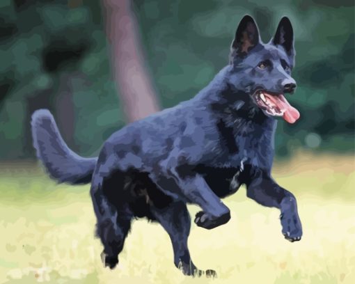 Cool Black Shepherd Diamond Painting