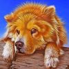 Cool Chow Chow Dog Diamond Painting