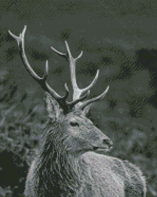 Deer Animal Black And White Wildlife Diamond Paintings