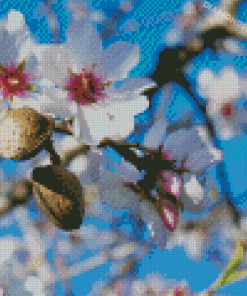 Flowering Almond Tree Diamond Paintings