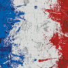 France Flag Art Diamond Painting