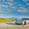 Grey Porsche Targa Diamond Paintings