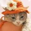 Kitten With Summer Hat Diamond Painting