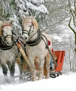 White Horses With Sleigh Diamond Painting