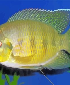 Yellow Tilapia Fish Diamond Painting