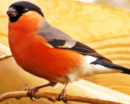 Aesthetic Bullfinch Bird Diamond Painting