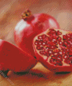 Aesthetic Pomegranate Diamond Paintings