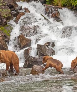 Alaska Grizzly Bears In Waterfall Diamond Painting