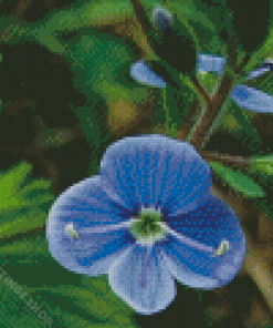 Blue Wildflower Diamond Paintings